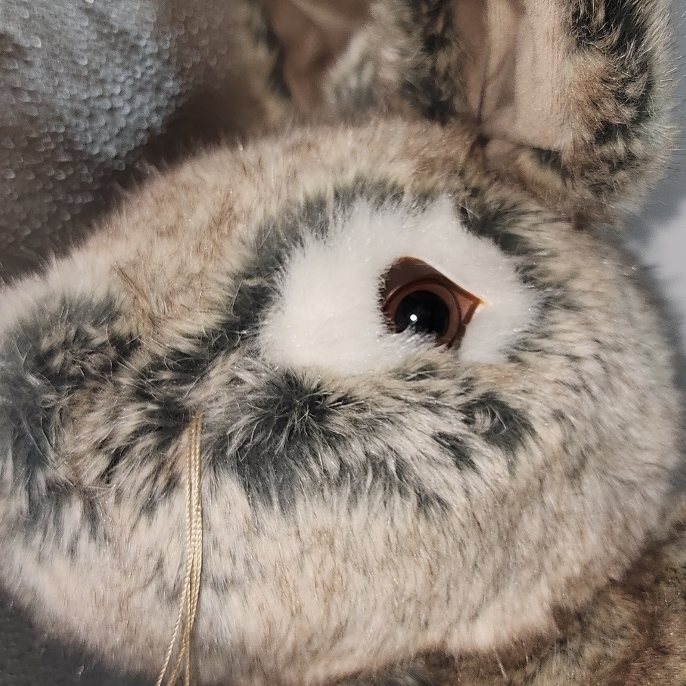 Ditz Design Brown And‎ Cream Rabbit - Picture 9 of 14